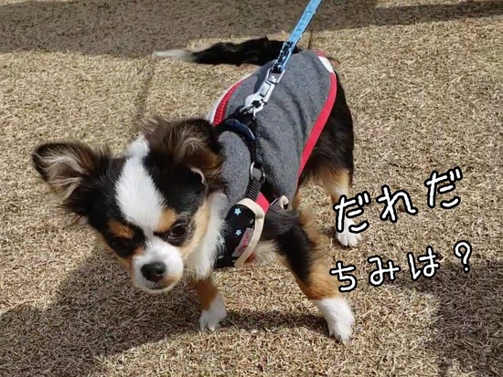 まりちゃんに似たゆきち君