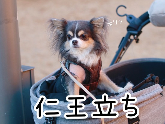その時、まりちゃんは…
