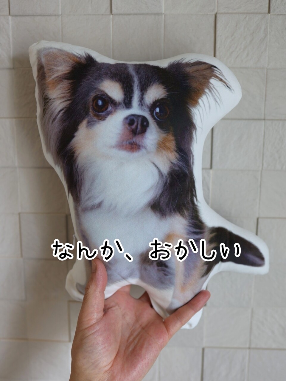 確認用愛犬画像 王道】スマホ以前の愛犬をAI（ChatGPT）で復元！歴代ペットの