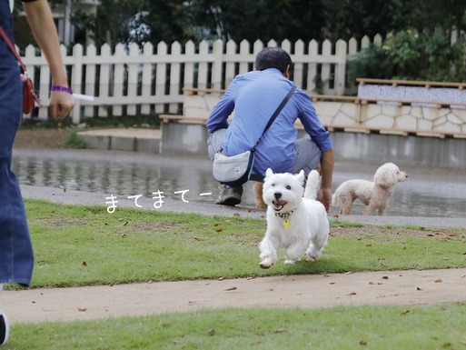 18-09-27-21-56-18-108_deco