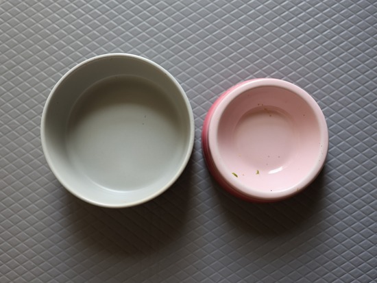 犬の食器選び、食べ残しが出ないかも基準だった