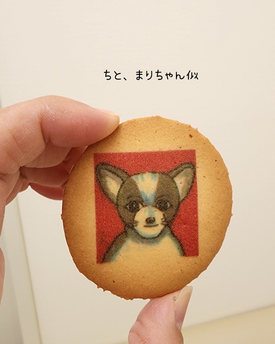 25-11-30-16-15-15-042_deco