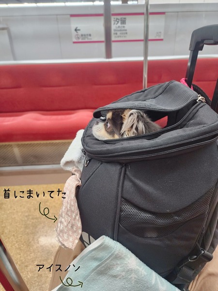 24-07-24-21-22-25-024_deco