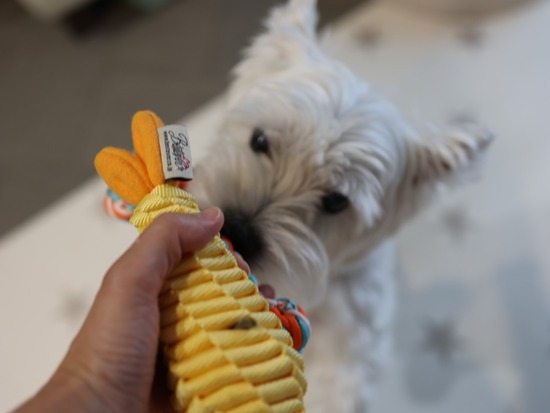 3A7A0130