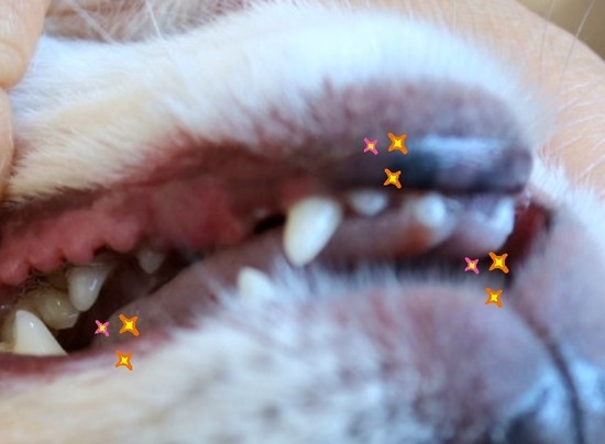 23-12-14-13-54-43-769_deco