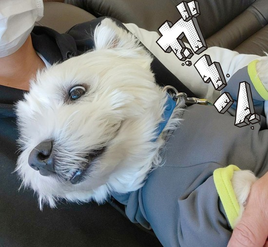 歯医者さんの日