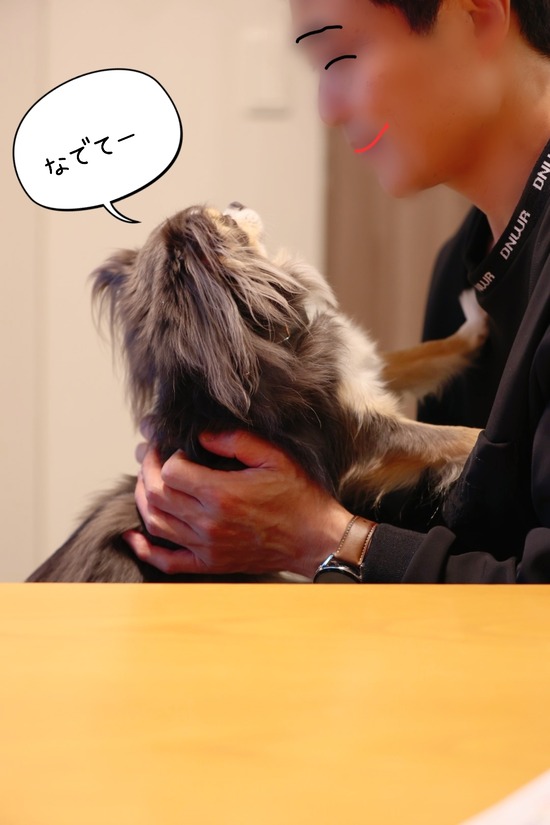 二人っきり希望！