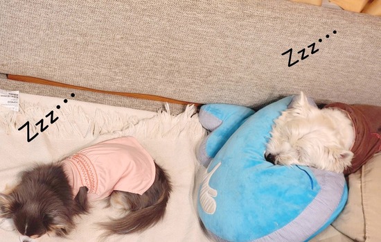 23-04-20-20-02-25-438_deco