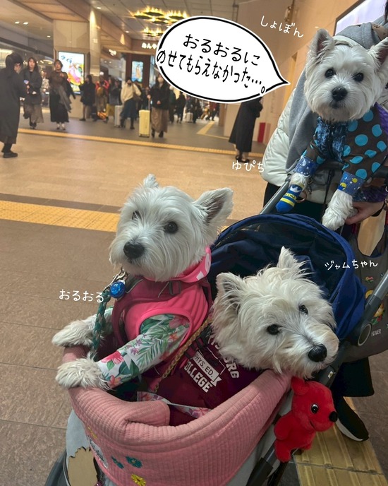 25-11-29-10-17-33-605_deco