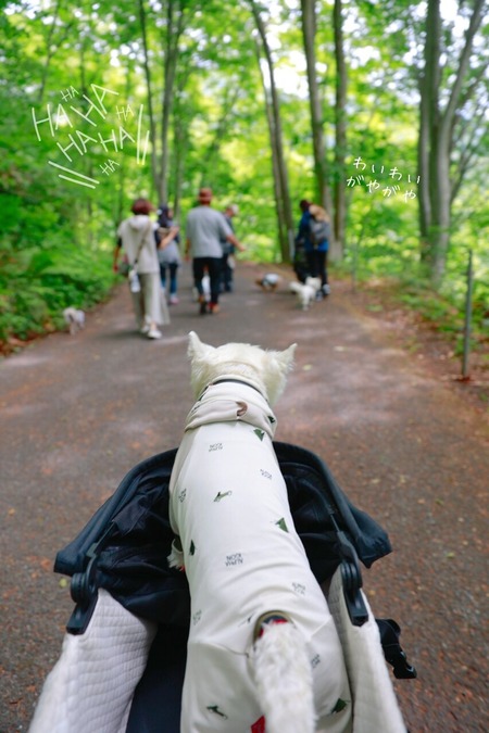 24-05-30-14-02-32-774_deco