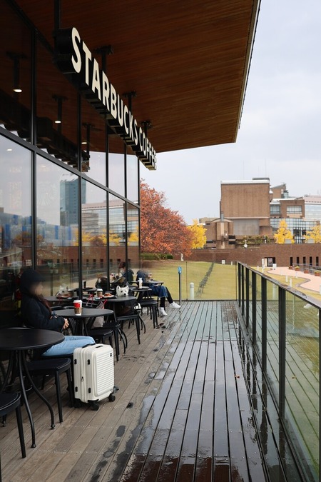 25-11-25-16-19-06-704_deco