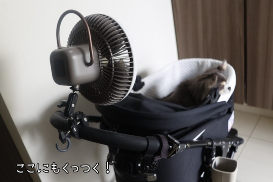 25-04-25-11-45-04-709_deco