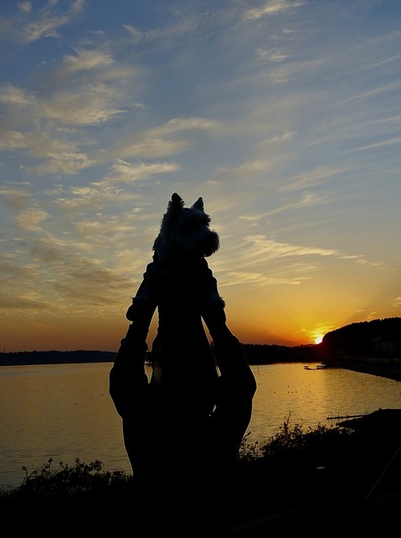 【Hillbilly Camping①】人はどうして夕日が好きなのだろう