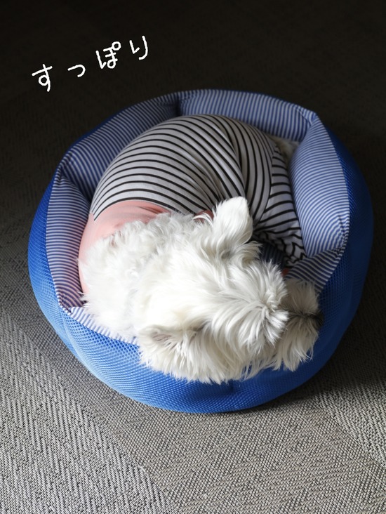 21-10-12-07-21-55-509_deco