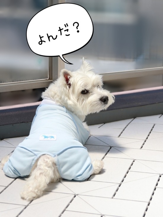 22-05-10-11-53-43-457_deco