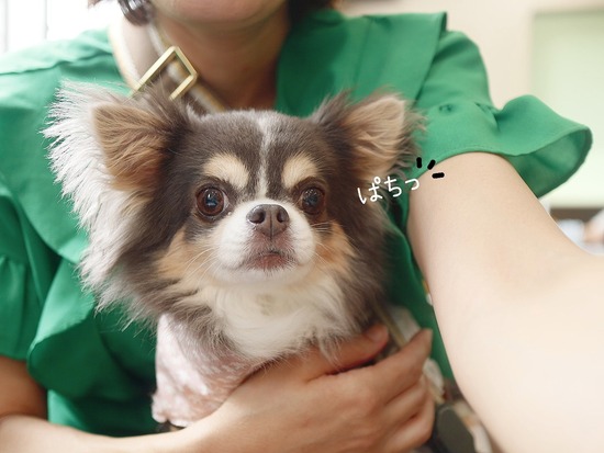 24-07-18-14-05-59-654_deco