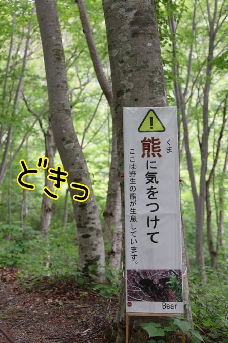 24-05-27-09-15-17-076_deco