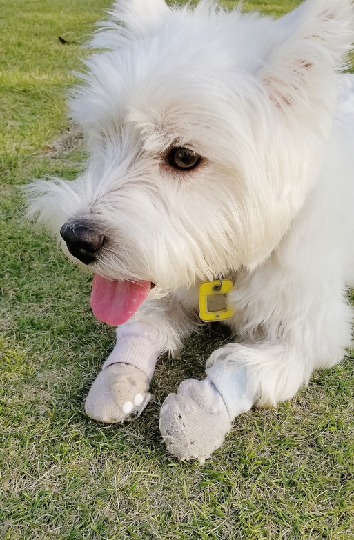 Point Blur_20181003_223338