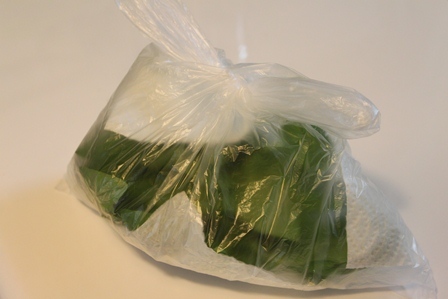 たかシェフのおうちごはん。-バジル