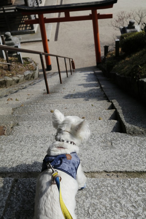 20180328163941__MG_8269