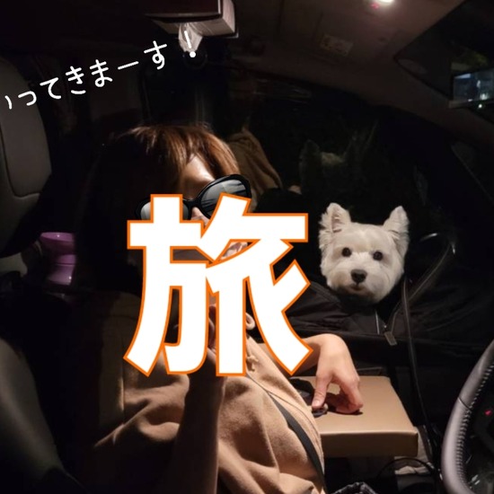 旅にでとります。