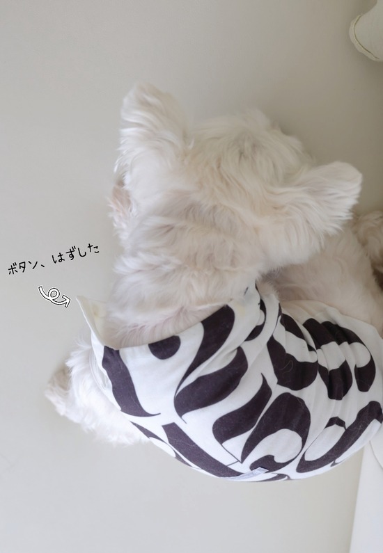 22-06-30-21-45-08-354_deco