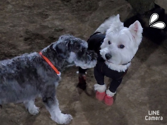 24-03-15-10-29-57-198_deco