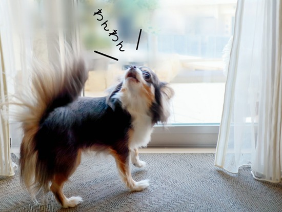 21-12-12-18-04-12-272_deco