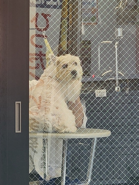 22-07-08-16-49-49-624_deco