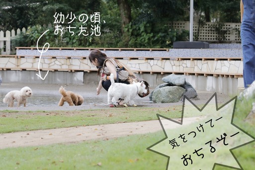 18-10-01-19-18-48-840_deco