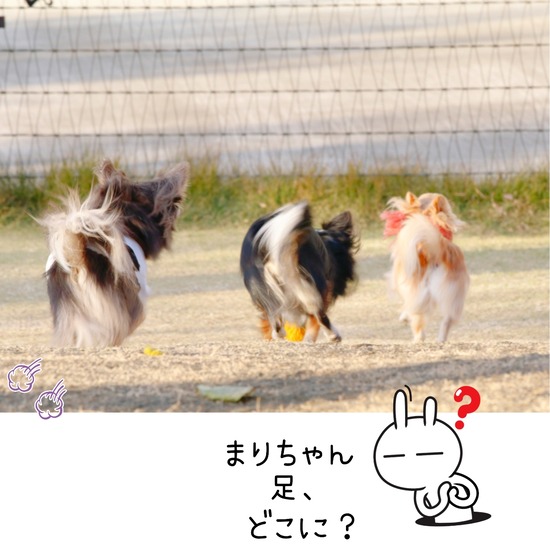 21-12-02-14-06-05-996_deco