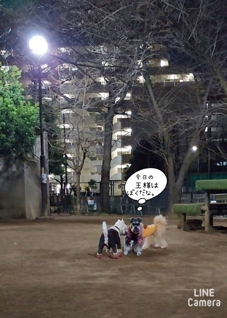 24-03-15-10-28-14-969_deco