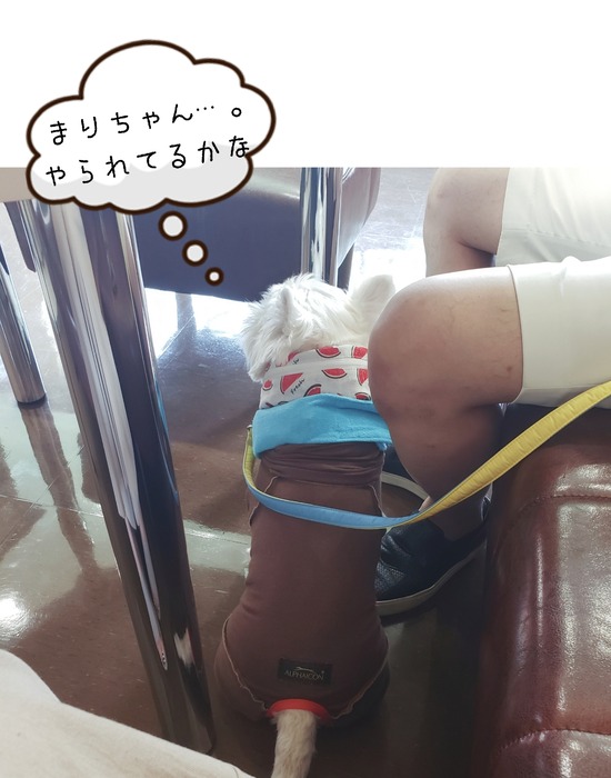 20-08-13-14-03-57-857_deco