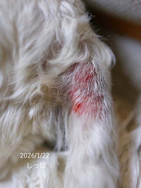 26-01-24-07-10-56-694_deco