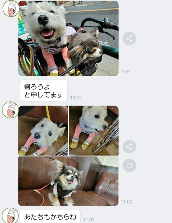 22-04-23-09-33-14-013_deco