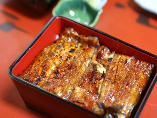 【犬店内可】團十郎さんのご贔屓の鰻の名店「名取亭」へ行ってみた