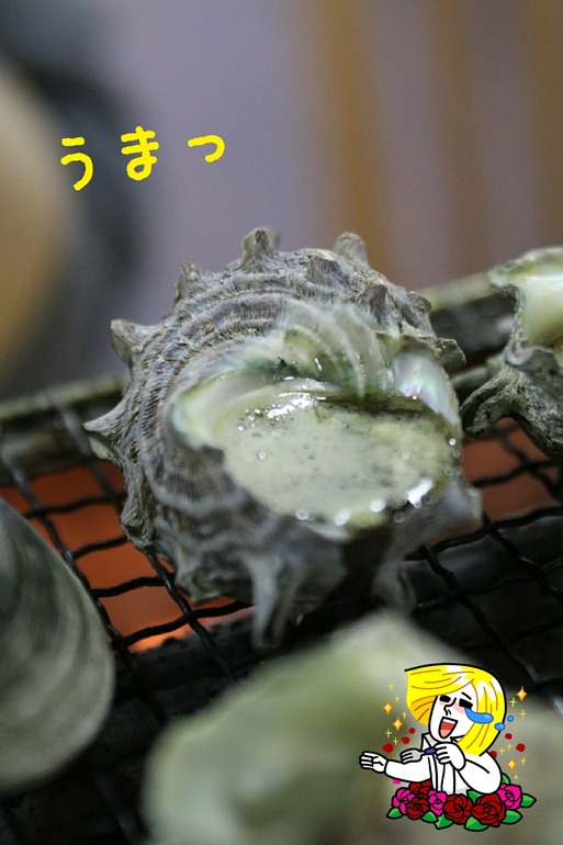 【犬旅】漁師料理たてやま