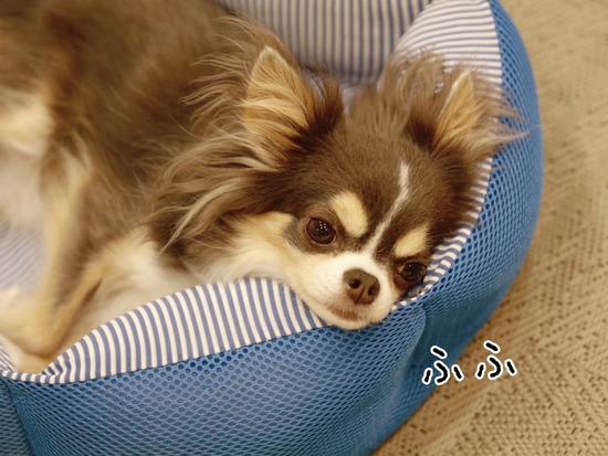 21-10-11-02-49-00-210_deco