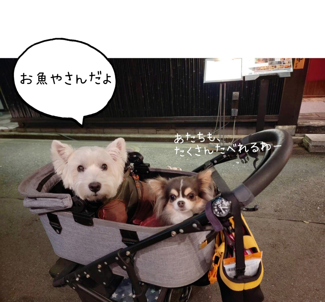 お散歩でみつけた焼き魚屋さん お心遣いは嬉しいのだが 笑 たかシェフのおうちごはん と 白い犬 と チワワ Powered By ライブドアブログ