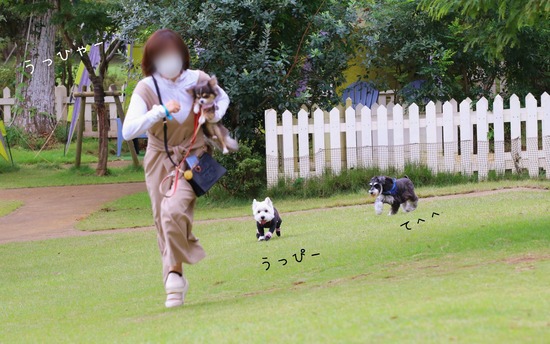 【犬】がんばる50代！！