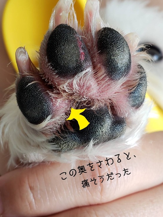 20-08-21-16-19-28-354_deco