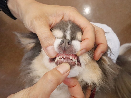 24-07-18-14-14-42-715_deco