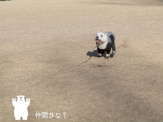 21-03-11-04-38-27-285_deco