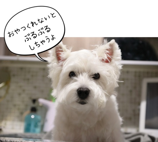 23-02-10-00-49-04-707_deco