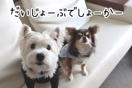 22-05-13-20-39-15-106_deco