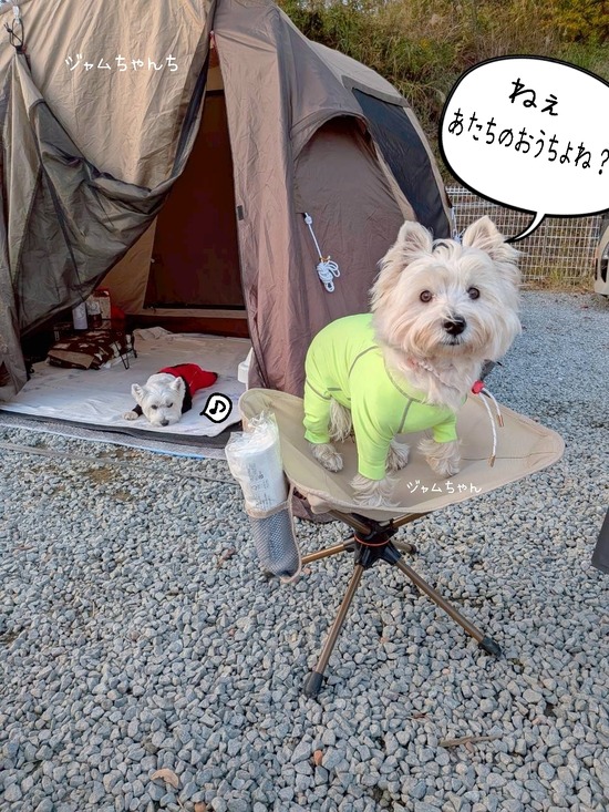 ジャムちゃんち