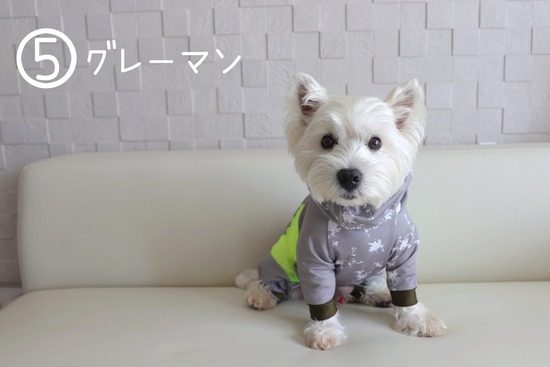 22-06-30-20-56-51-843_deco