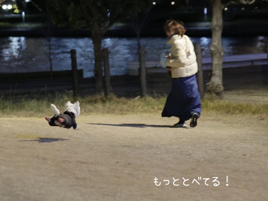 25-12-19-23-00-04-988_deco