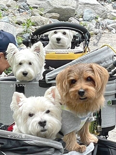 24-05-28-09-55-41-700_deco