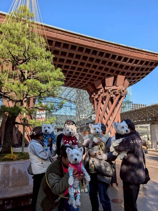 25-11-29-10-20-57-237_deco